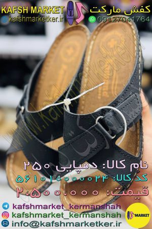 دمپایی 250