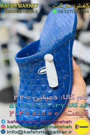 دمپایی 220