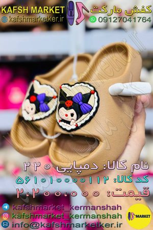 دمپایی 220