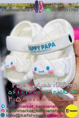 دمپایی 250