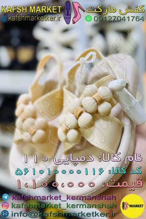 دمپایی 110