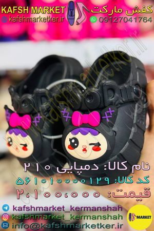 دمپایی 210