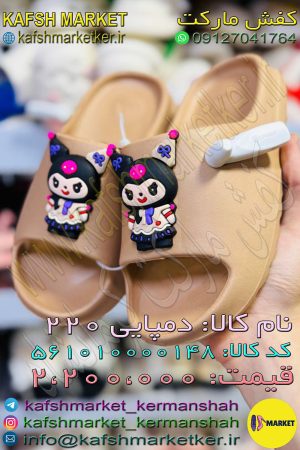 دمپایی 220