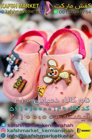 دمپایی 210