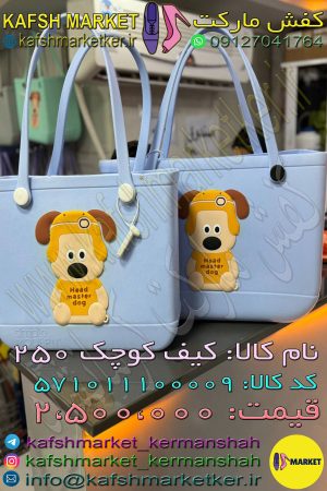 کیف کوچک 250